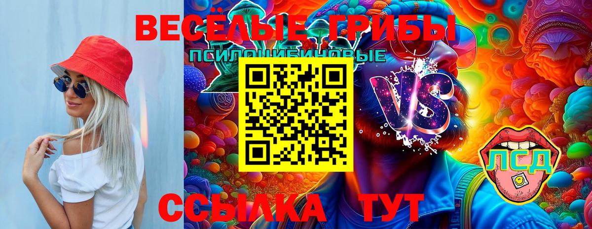 Ачинск  Галлюциногенные грибы Psilocybe  Вход с VPN  Галлюциногенные грибы Psilocybe 