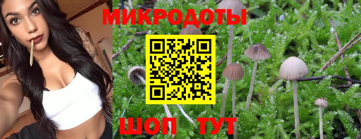 Галлюциногенные грибы прущие грибы Ачинск